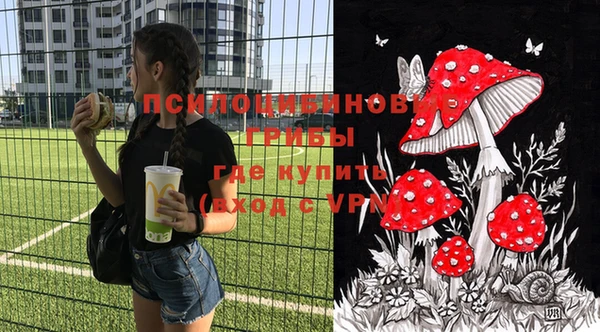 гидропоника Алексеевка