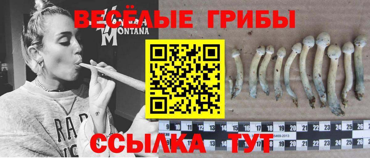 Нововоронеж  Псилоцибиновые грибы Cubensis  купить   Вход с VPN 