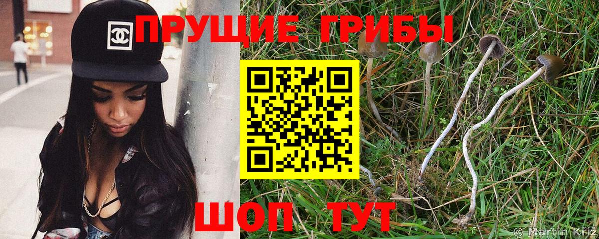 Псилоцибиновые грибы MAGIC MUSHROOMS Нововоронеж