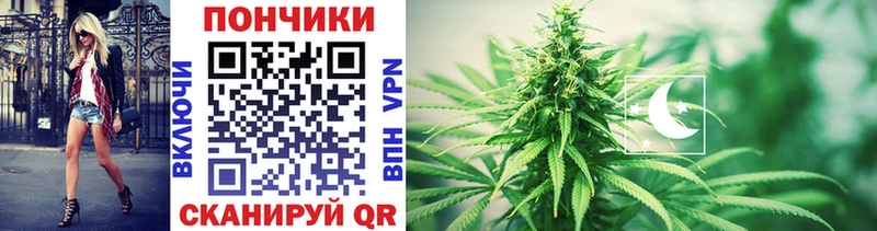 закладки  Нововоронеж  Конопля OG Kush 
